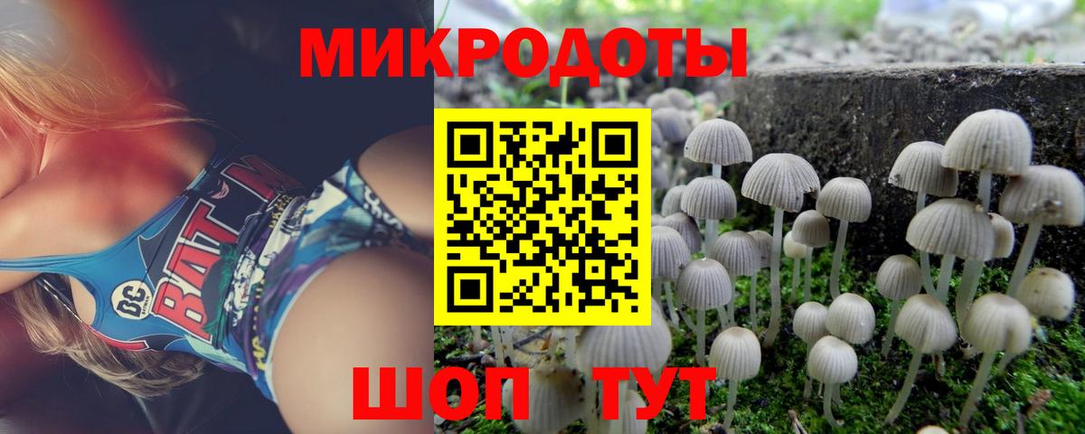 Псилоцибиновые грибы мухоморы Кириши